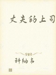 丈夫的上司日剧