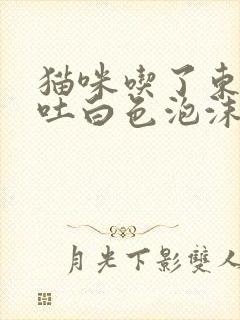 猫咪吃了东西还吐白色泡沫是怎么回事