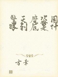 惊天魔盗团2天眼到底是什么