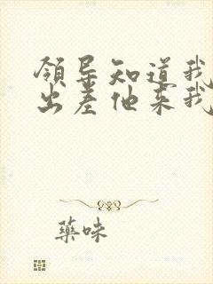 领导知道我老公出差他来我家