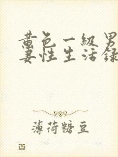 黄色一级男女夫妻性生活录像