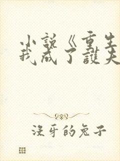 小说《重生后,我成了护夫狂魔》