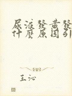 尿液发黄发热是什么原因引起的