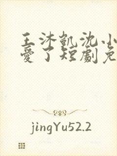 王沐凯沈小姐不爱了短剧免费播放