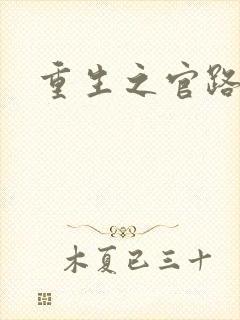 重生之官路风流