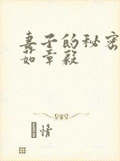 妻子的秘密林雅茹章毅封面