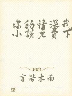 你的情深我不配小说免费下载