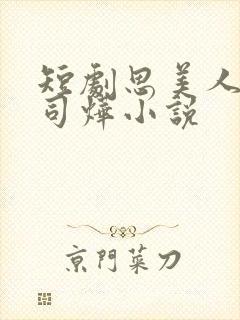 短剧思美人盛妩司烨小说