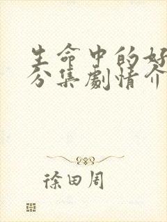 生命中的好日子分集剧情介绍