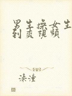 男生操女生逼操到爽视频