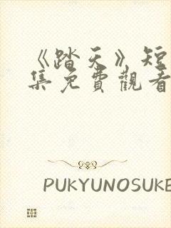 《踏天》短剧全集免费观看