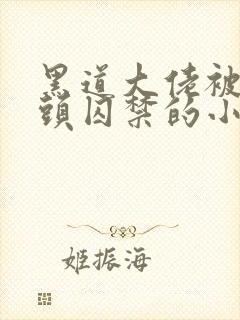 黑道大佬被死对头囚禁的小说