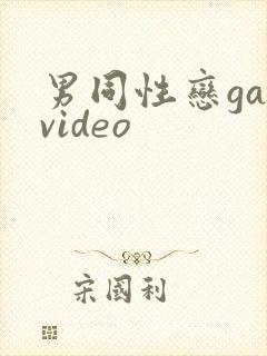 男同性恋gayvideo