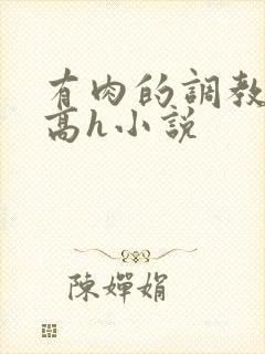 有肉的调教np高h小说