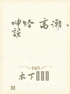 呻吟 高潮 小说封面