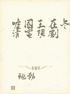 嘘国王在冬眠高清电视剧