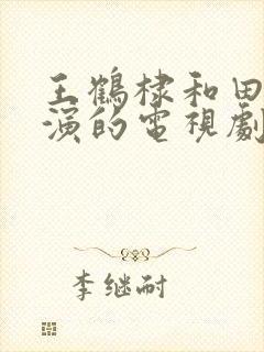 王鹤棣和田曦薇演的电视剧