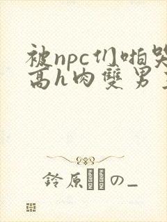 被npc们啪哭高h肉双男主小说