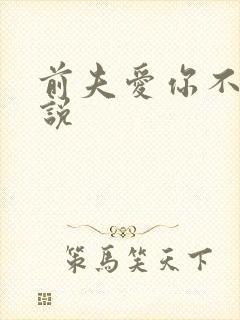 前夫爱你不休小说