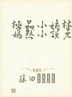 极品小姨林凡李嫣然小说免费阅读全文