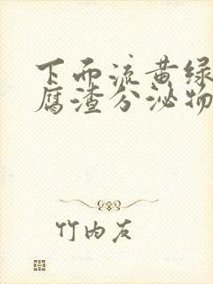 下面流黄绿色豆腐渣分泌物