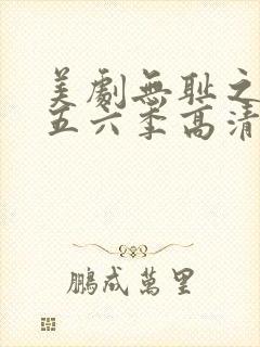 美剧无耻之徒第五六季高清封面