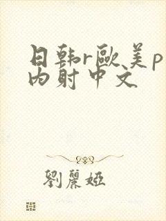 日韩r欧美p片内射中文