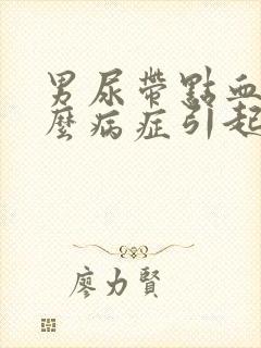 男尿带点血是什么病症引起的