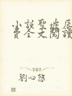 小说圣墟辰东免费全文阅读