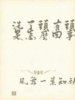 洗了头有头皮屑是怎么回事封面