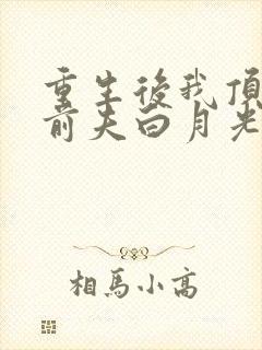 重生后我顶替了前夫白月光大结局