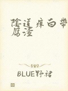 阴道痒白带黄豆腐渣