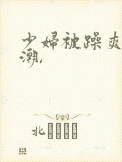 少妇被躁爽到高潮,