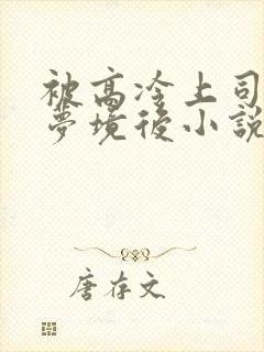 被高冷上司进入梦境后小说免费阅读