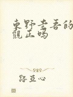 东野圭吾的书三观正吗封面