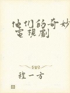 他们的奇妙时光 电视剧封面