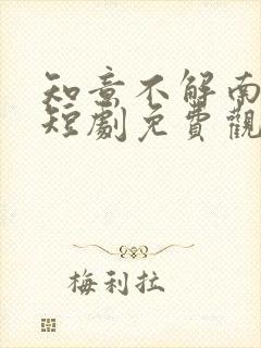 知意不解南风去短剧免费观看封面