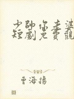 少帅你老婆又跑短剧免费观看在线播放