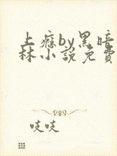 上瘾by黑暗森林小说免费