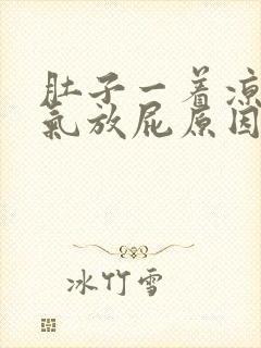 肚子一着凉就胀气放屁原因