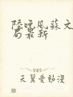 陆晚风苏文大结局最新封面