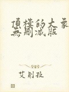 顶楼的大象完整无删减版封面