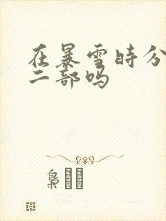 在暴雪时分有第二部吗封面