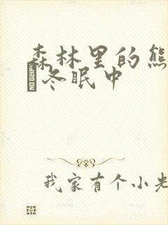 森林里的熊先生·冬眠中