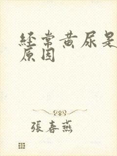 经常黄尿是什么原因