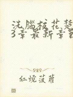 洗脑校花楚璃23章最新章节列表