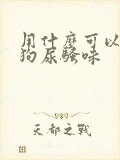 用什么可以去除狗尿骚味