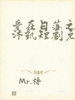 爱在日落之前王沐凯短剧免费观看