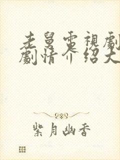 老舅电视剧分集剧情介绍大结局