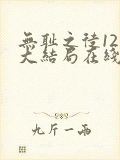 无耻之徒12季大结局在线观看免费